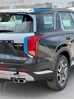 2024 Hyundai Palisade 3.8 Litres V6 Cylinder Petrol Engine Black Beige SUV