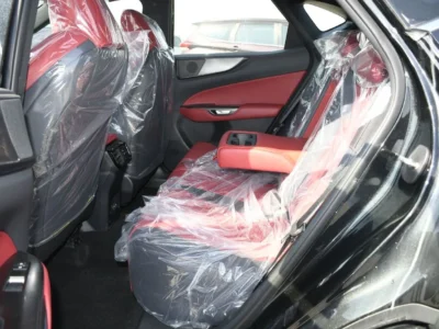 2026 Lexus NX 350 F SPORT 2.4 Liter 4 Cylinder Petrol Engine Black Red SUV