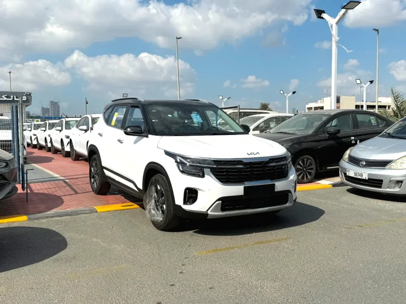2025 Kia Seltos Luxury Edition 4 Cylinder Petrol Engine White Black SUV