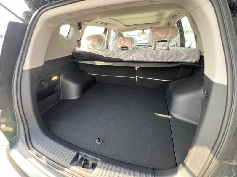 2024 LIVAN X6 Pro 1.5 Liter Turbo 4 Cylinder Petrol Engine Green Black SUV