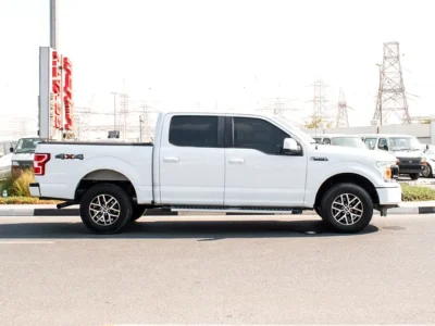 2019 Ford F-Series F150 Platinum 8 Cylinders Engine White Grey Pick Up Truck