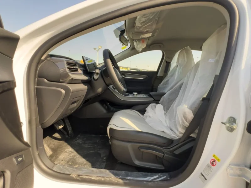 2025 BYD DESTROYER 05 1.5 Litre 4 Cylinder Hybrid Engine White Black Sedan