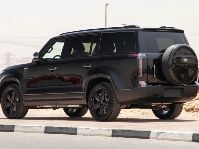 2025 ROX 01 VIP 7 seats 1.5L PLUG-IN Hybrid LONG RANGE Black Orange SUV