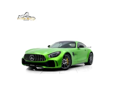 2019 Mercedes-Benz AMG AMG-GT R FULL CARBON PACKAGE Green Black Coupe