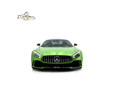 2019 Mercedes-Benz AMG AMG-GT R FULL CARBON PACKAGE Green Black Coupe