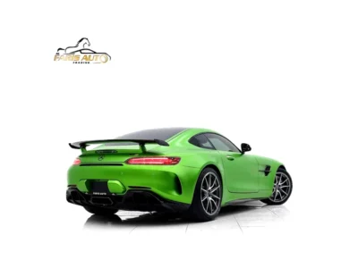 2019 Mercedes-Benz AMG AMG-GT R FULL CARBON PACKAGE Green Black Coupe