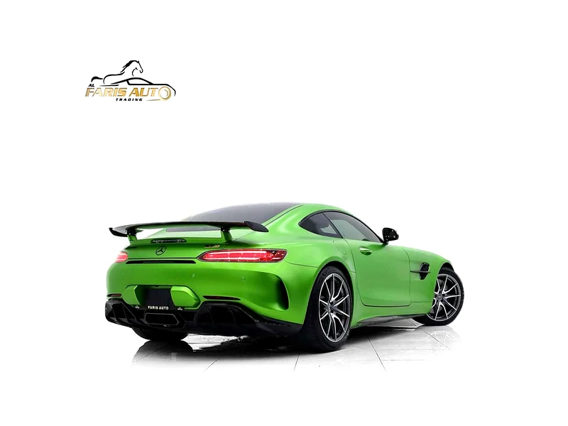 2019 Mercedes-Benz AMG AMG-GT R FULL CARBON PACKAGE Green Black Coupe