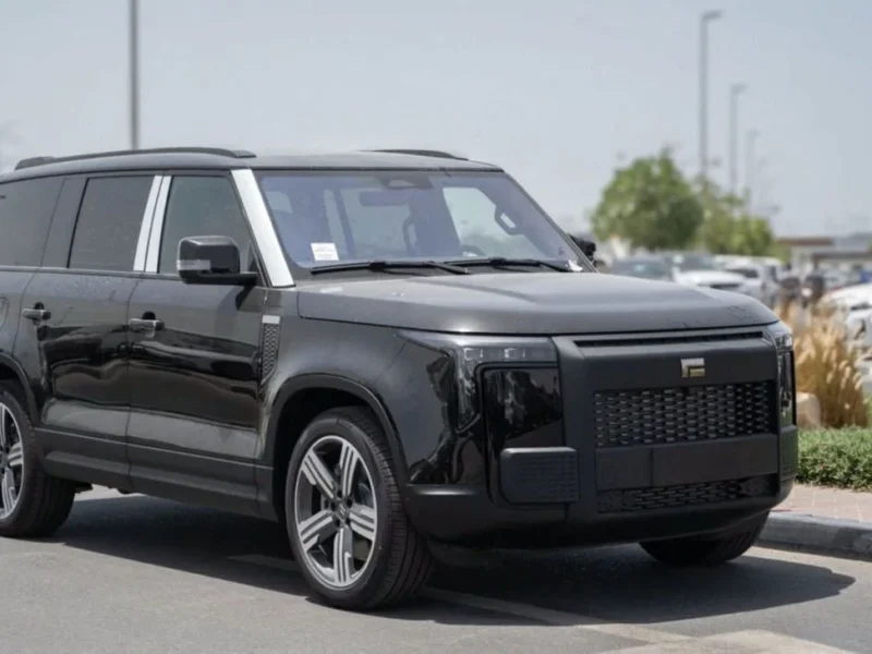 2024 ROX 01 VIP PLUG-IN HYBRID 1.5L Turbo Engine Electric Range 235KM Black Tan SUV