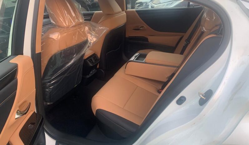 2023 Lexus ES 350 3.5 Liters 6-cylinder Petrol Engine White Tan Luxury Sedan FWD