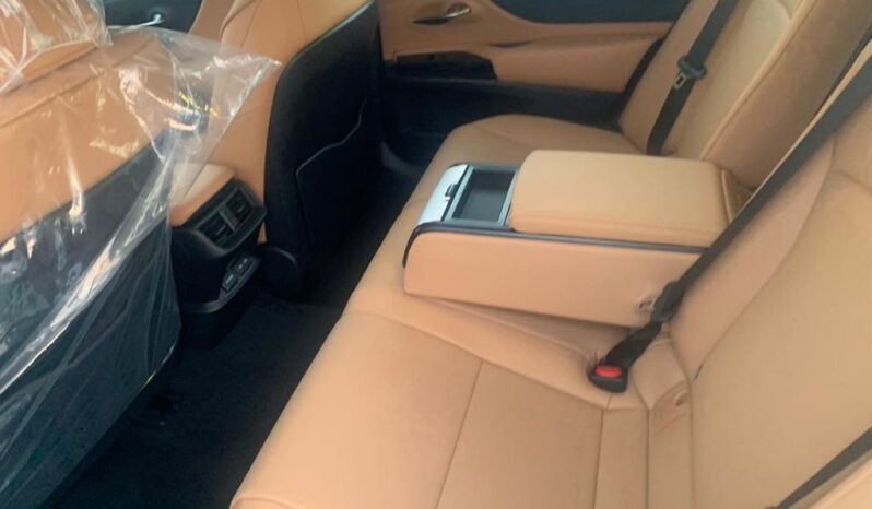 2023 Lexus ES 350 3.5 Liters 6-cylinder Petrol Engine White Tan Luxury Sedan FWD