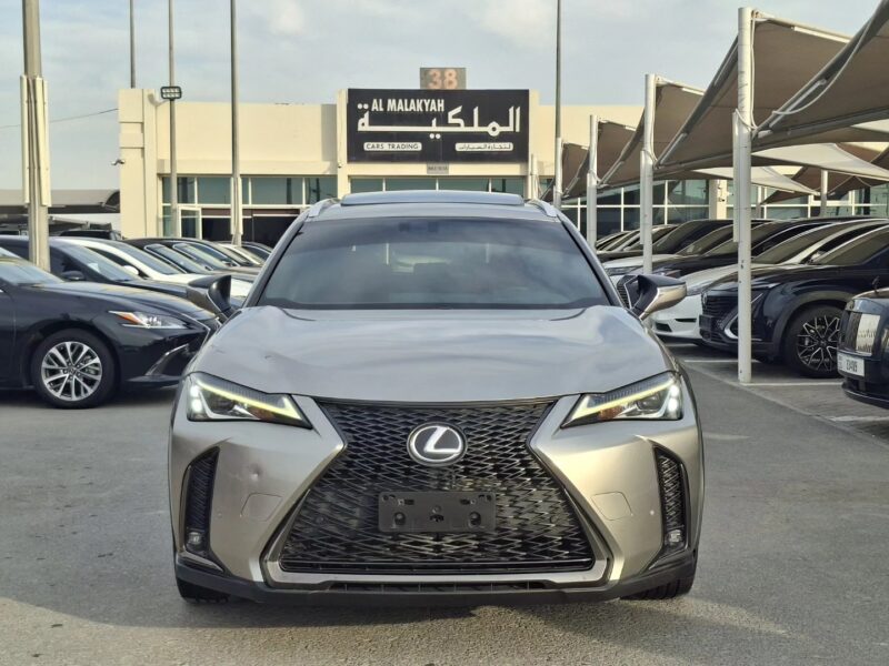 2019 Lexus UX 200 2.0-liter Inline 4-cylinder Petrol Engine Gold Red Crossover FWD GCC