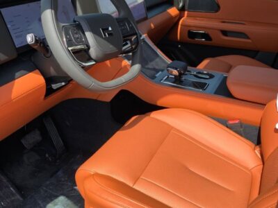 2024 ROX 01 Plug-In Hybrid VIP 1.5T 4 Cylinders Engine Black Orange SUV 4WD