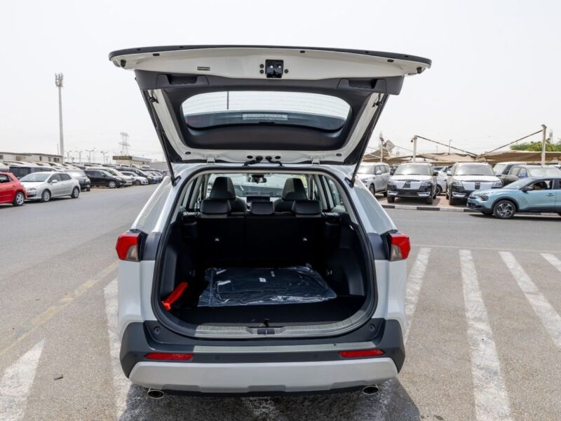 2025 Toyota RAV4 2.0L 4 Cylinders Petrol Engine 4WD White Black SUV CHINESE