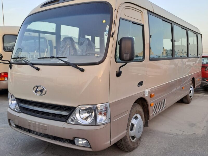 2021 Hyundai County 3.9L 4 Cylinders Engine Diesel Manual Beige Grey Bus RWD