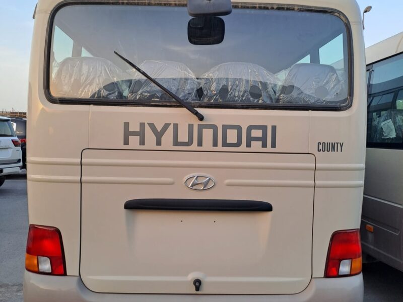 2021 Hyundai County 3.9L 4 Cylinders Engine Diesel Manual Beige Grey Bus RWD
