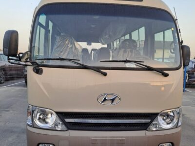2021 Hyundai County 3.9L 4 Cylinders Engine Diesel Manual Beige Grey Bus RWD