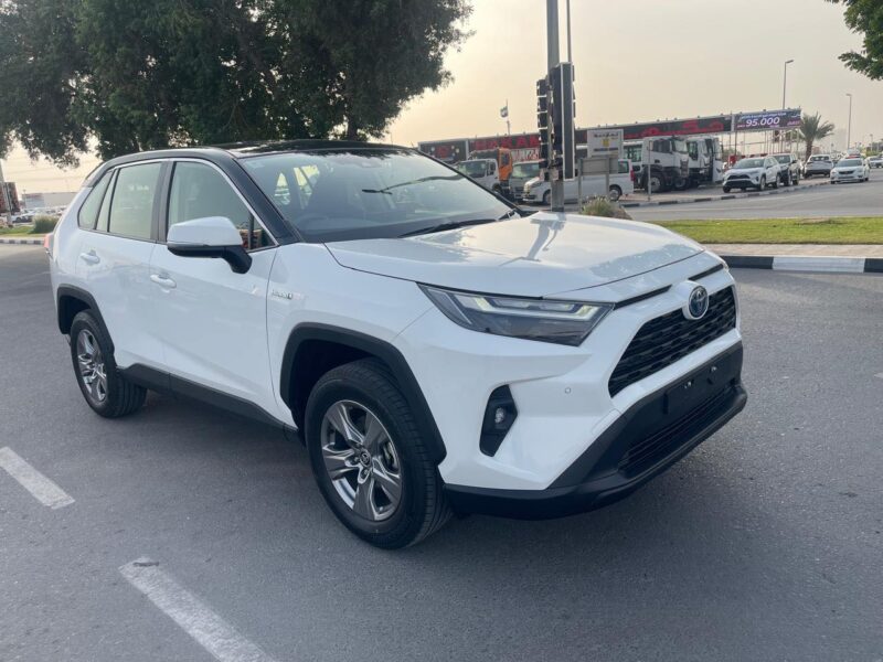 2024 Toyota RAV4 GX Hybrid 2.5L 4-cylinder DOHC 16-valve with VVT-i White Grey SUV