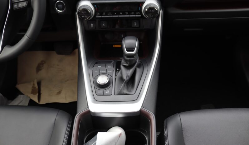 2023 Toyota RAV 4 2.5 Litres 4 Cylinders Petrol Engine White Black SUV AWD