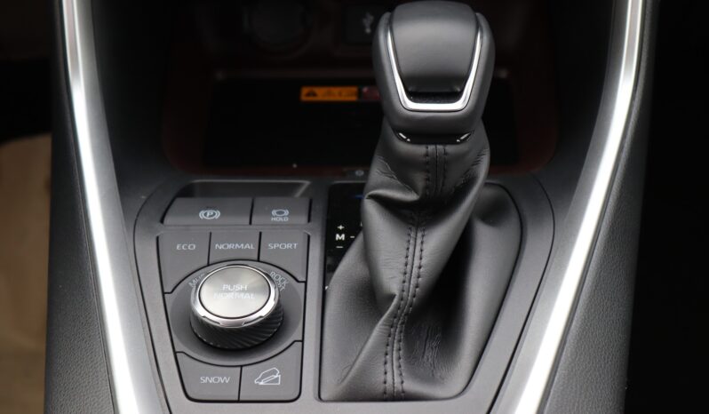 2023 Toyota RAV 4 2.5 Litres 4 Cylinders Petrol Engine White Black SUV AWD