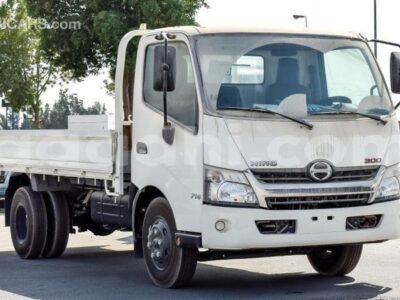 2024 Hino 300 Series 4.0 Litres 4 Cylinder Turbo-Diesel Engines Truck White and Grey