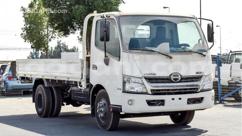 2024 Hino 300 Series 4.0 Litres 4 Cylinder Turbo-Diesel Engines Truck White and Grey