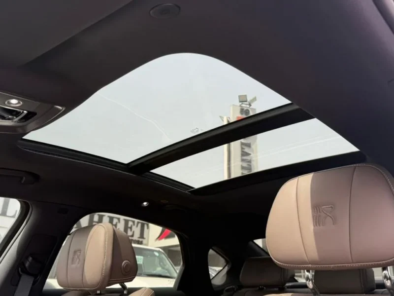 2025 BYD HAN BYD Han DM-i 125KM Elite 1.5 L 4 Cylinders Petrol Engine Grey Brown Sedan