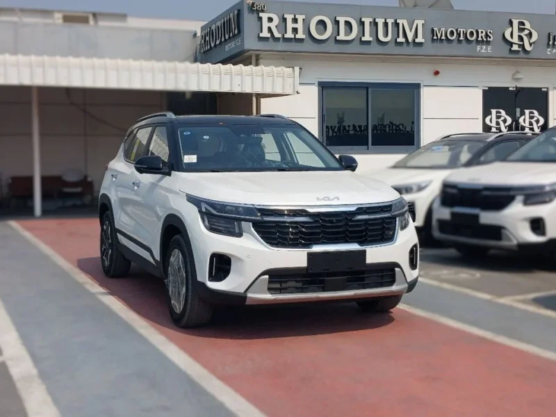 2025 Kia Seltos 1.5 Litres 4 Cylinders Petrol Engine White Black SUV Chinese Specs
