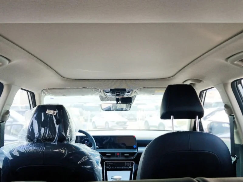 2025 Kia Seltos 1.5 Litres 4 Cylinders Petrol Engine White Black SUV Chinese Specs