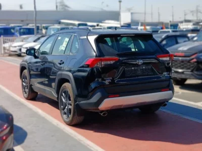 2025 Toyota RAV4 Adventure 2.5-liter 4-cylinder In-Line Petrol Engine Black White SUV