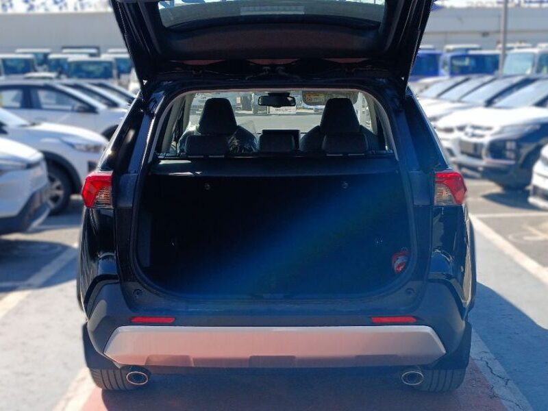 2025 Toyota RAV4 Adventure 2.5-liter 4-cylinder In-Line Petrol Engine Black White SUV