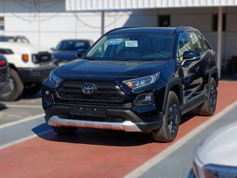 2025 Toyota RAV4 Adventure 2.5-liter 4-cylinder In-Line Petrol Engine Black White SUV