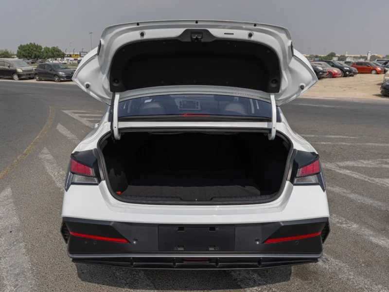 2025 Hyundai Elantra GLX Elite 1.5-liter MPI Petrol Engine White Black Sedan Automatic