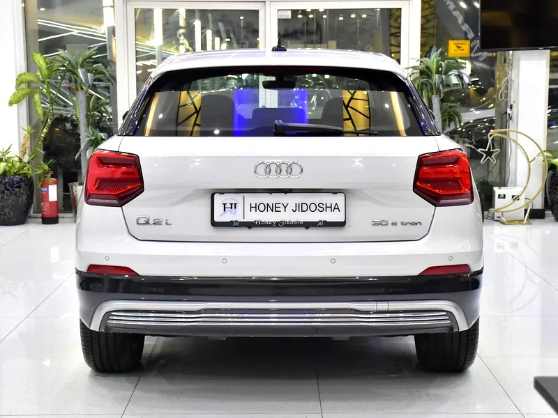 2021 Audi Q2L 30 E-Tron Electric Vehicle White Black Crossover 250 - 350 KM Range