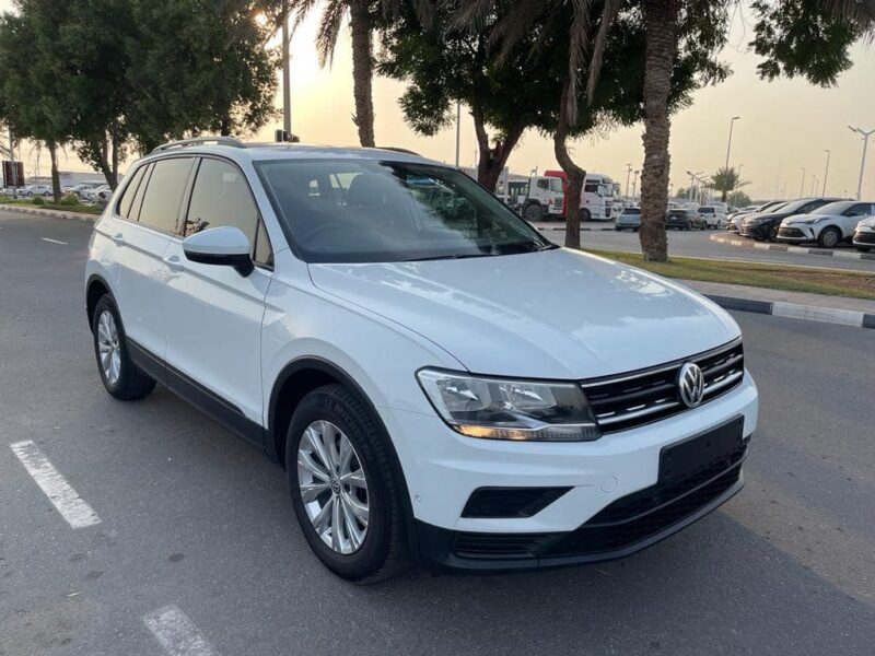2020 Volkswagen Tiguan 5N 110 TSI Trendline 1.4L 4 Cylinders Engine White Grey SUV