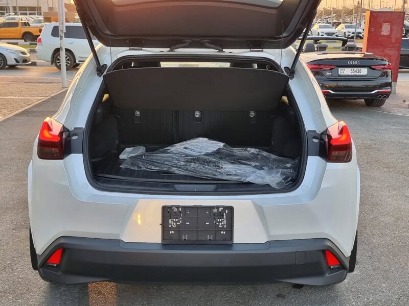 2024 Lexus UX 250h 2.0-liter four-cylinder Hybrid Engine White Black Subcompact SUV