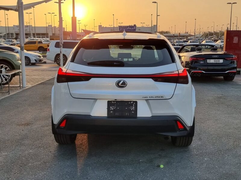 2024 Lexus UX 250h 2.0-liter four-cylinder Hybrid Engine White Black Subcompact SUV