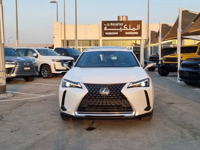 2024 Lexus UX 250h 2.0-liter four-cylinder Hybrid Engine White Black Subcompact SUV