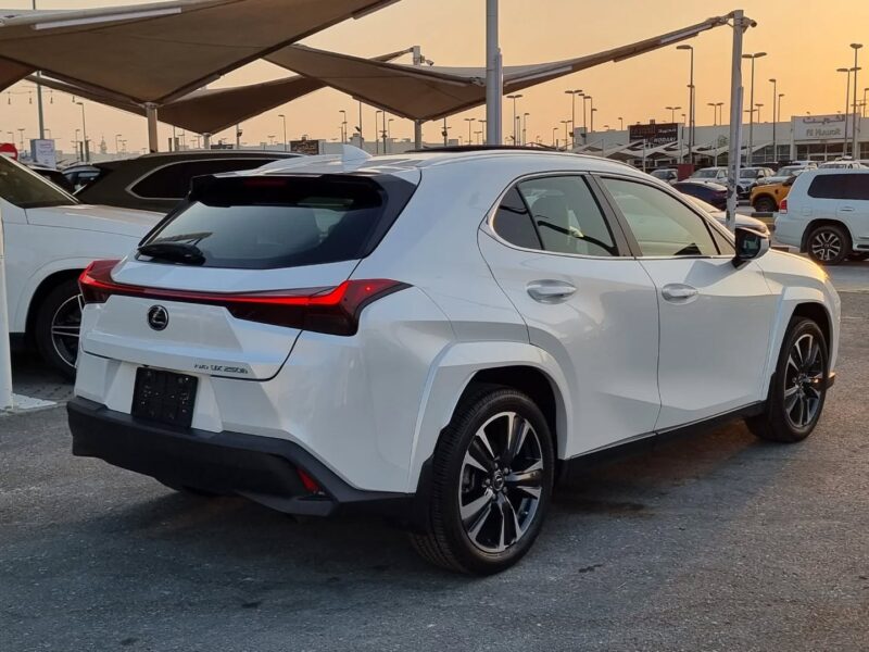 2024 Lexus UX 250h 2.0-liter four-cylinder Hybrid Engine White Black Subcompact SUV