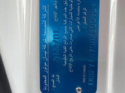 2022 Nissan Patrol Super Safari 4.8-liter Inline-6 engine Petrol Engine White Tan SUV