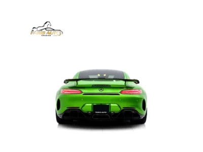 2019 Mercedes-Benz AMG AMG-GT R FULL CARBON PACKAGE Green Black Coupe