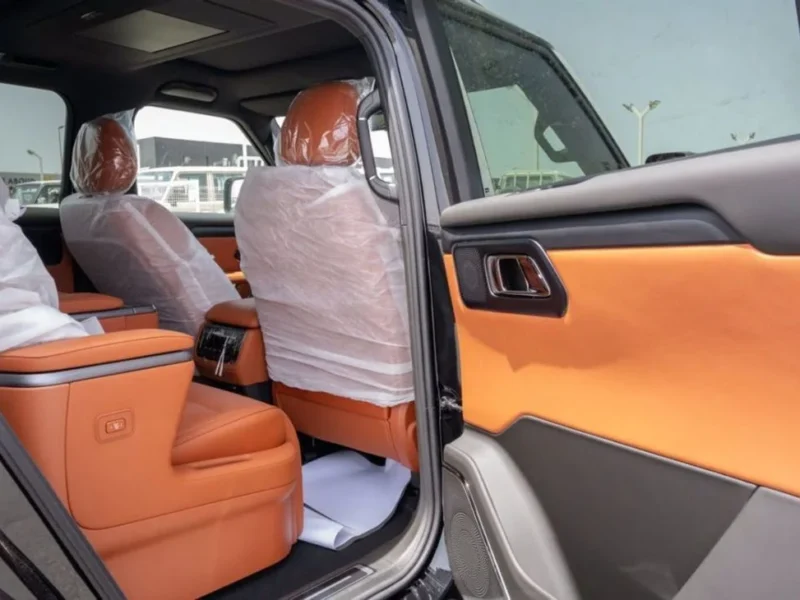 2024 ROX 01 VIP PLUG-IN HYBRID 1.5L Turbo Engine Electric Range 235KM Black Tan SUV