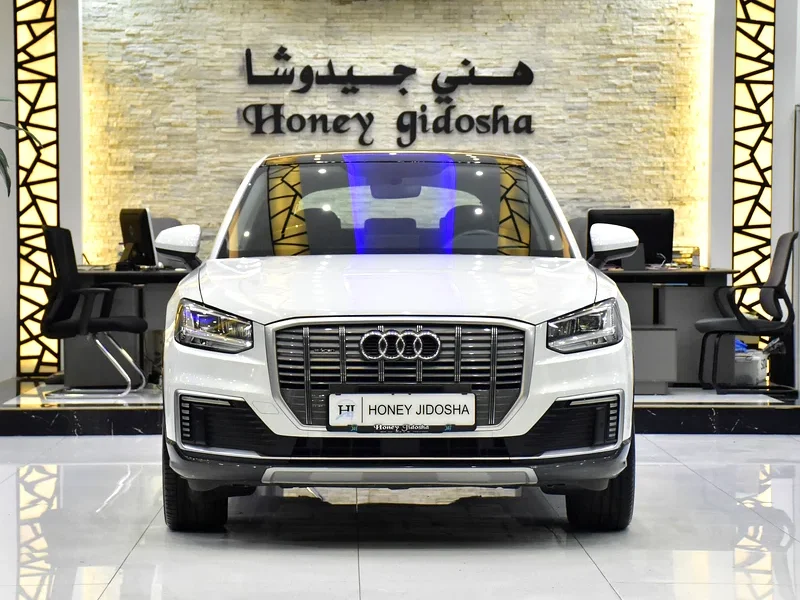 2021 Audi Q2L 30 E-Tron Electric Vehicle White Black Crossover 250 - 350 KM Range