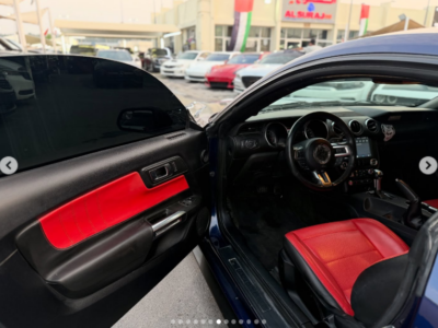 2018 Ford Mustang EcoBoost 2.3L EcoBoost Turbo I-4 Petrol Engine Bue Red Coupe