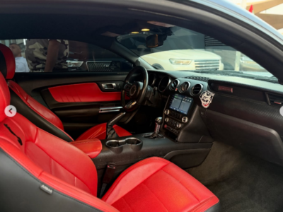 2018 Ford Mustang EcoBoost 2.3L EcoBoost Turbo I-4 Petrol Engine Bue Red Coupe