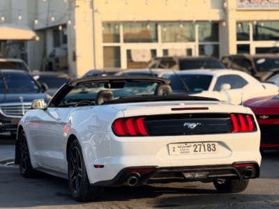 2022 Ford Mustang EcoBoost 2.3 Liters 4-cylinder Petrol Engine White Black Convertible