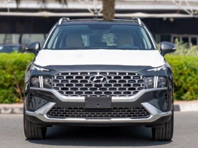 2023 Hyundai Santa Fe 2.5L MPI 4 Cylinder Petrol Engine Grey Tan SUV