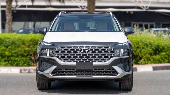 2023 Hyundai Santa Fe 2.5L MPI 4 Cylinder Petrol Engine Grey Tan SUV