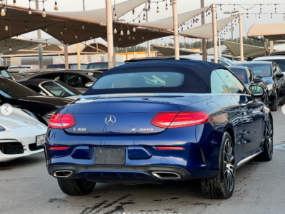 2018 Mercedes-Benz C300 2.0L turbocharged inline-4 Petrol Engine Brown Convertible
