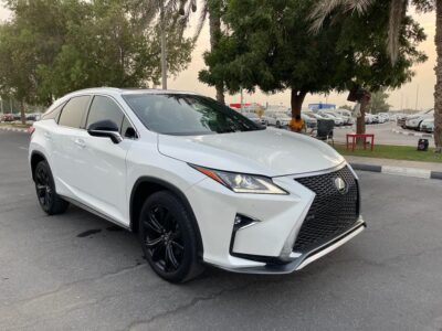 2019 Lexus RX300 F Sport 2.0-liter turbocharged 4-cylinder Petrol Engine White Black SUV