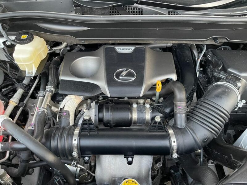 2019 Lexus RX300 F Sport 2.0-liter turbocharged 4-cylinder Petrol Engine White Black SUV